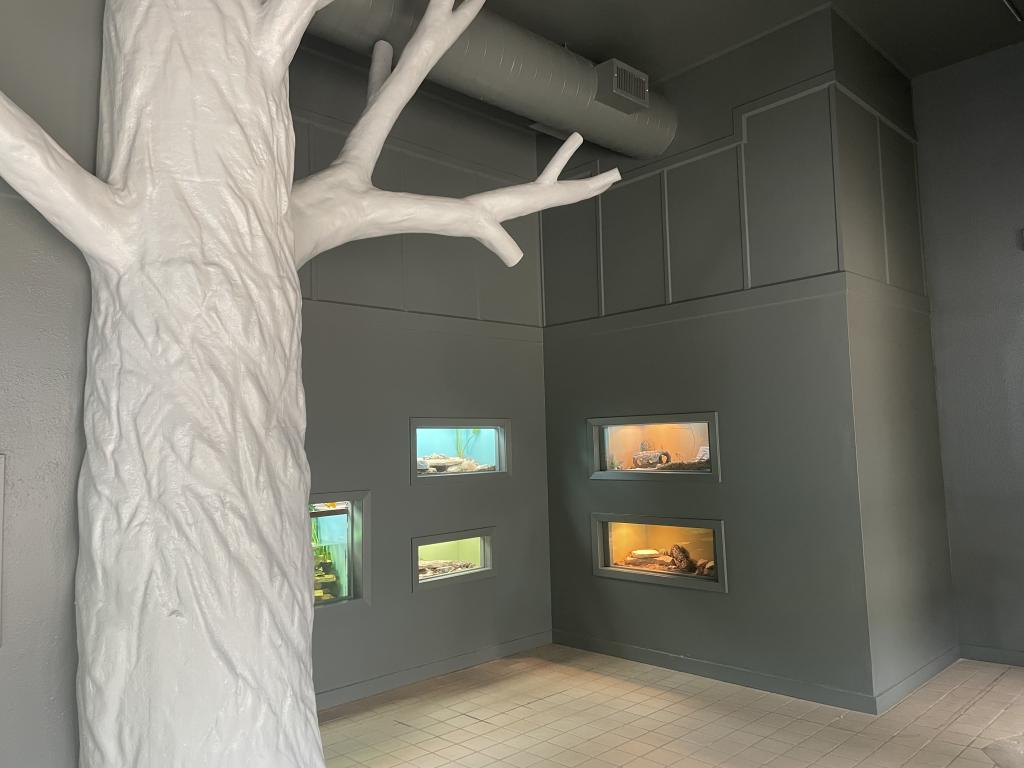 photo of grey walls, white replica trees along wall with tanks inset in wall