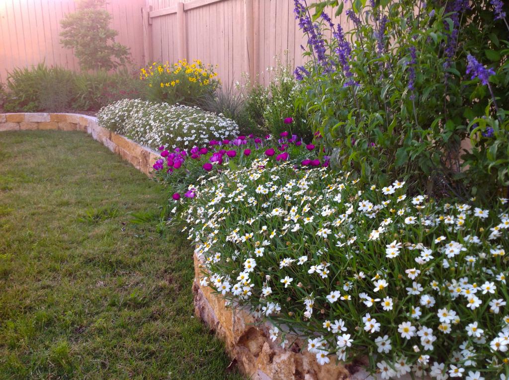 Wild and native landscape