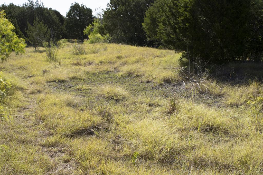 Decker Tallgrass Prairie Preserve