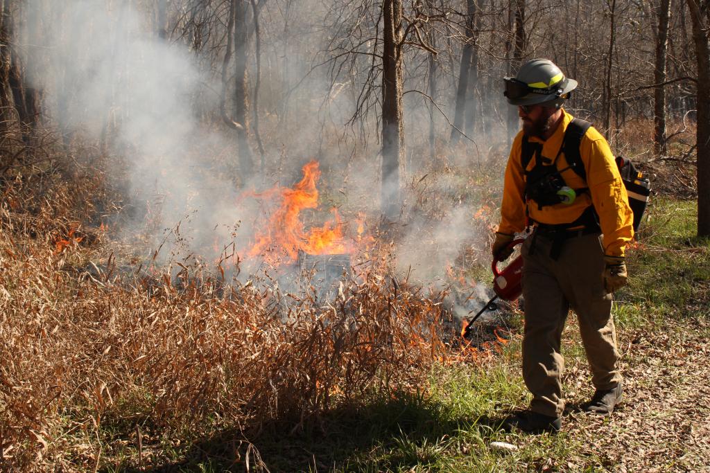 Prescribed fire at Onion Creek Wildlife Sanctuary