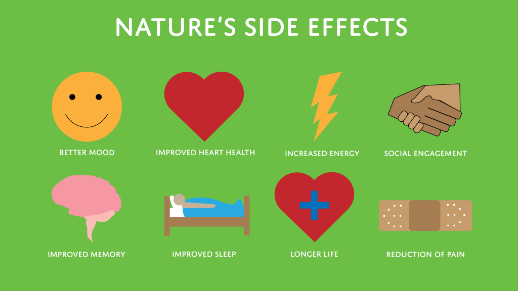 green rectangle with white text that reads natures side effects vector shape of yellow happy face white text reads below better mood red heart shape white text reads improved heart health yellow lightening bolt with white text that reads increased energy two hands shaking with white text that reads social engagement pink brain with white text that reads improved memory person in a bed with white text that reads improved sleep red heart with blue plus sign with white text that reads longer life bandage drawing with white text below that reads reduction of pain