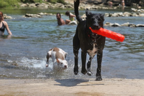 Barton Springs downstream
