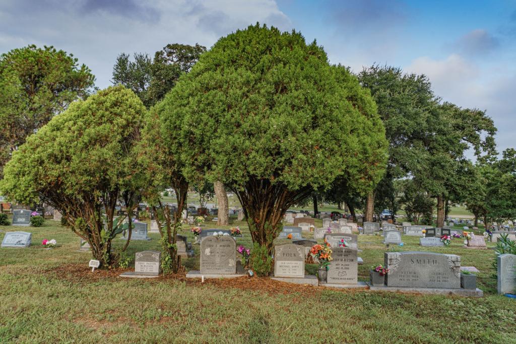 Image of grave markers and trees at Evergreen Cemetery