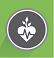 Icon representing the Health and Environment strategy outcome. Green background with a Heart in a grey circle. The heart has three leaves growing out of the top and cardiogram lines running through its middle. 