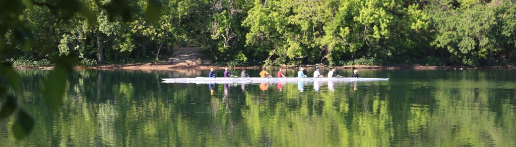 Image of People Rowing at Lady Bird Lake