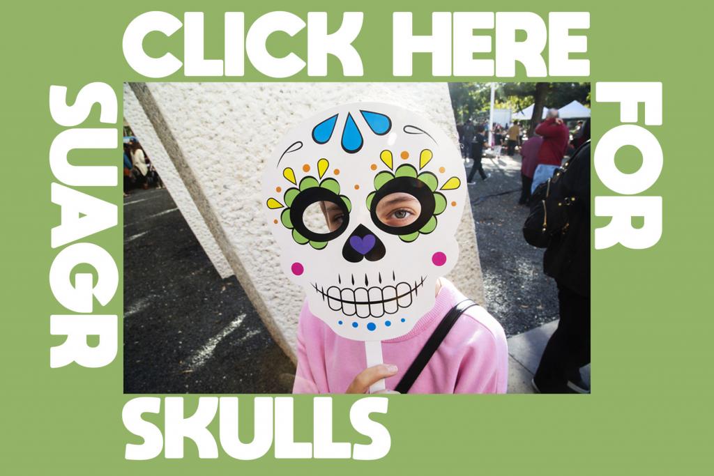 Sugar Skull Lesson PLans