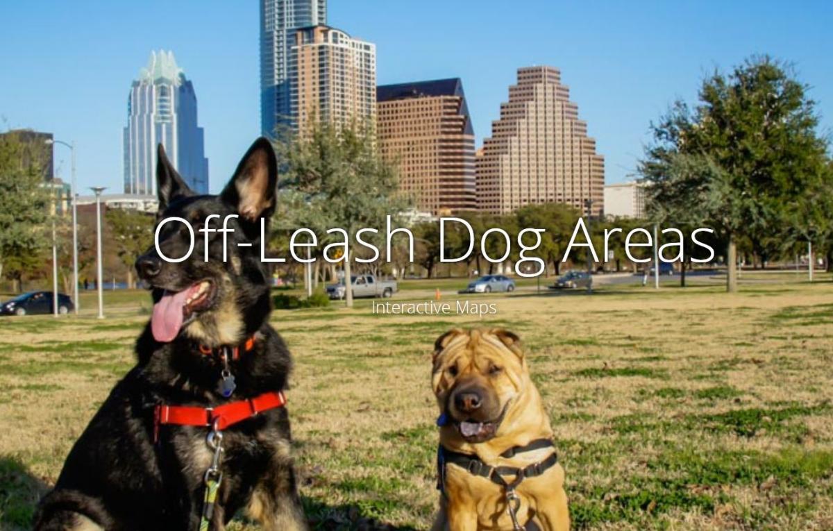 Off leash areas austintexas gov