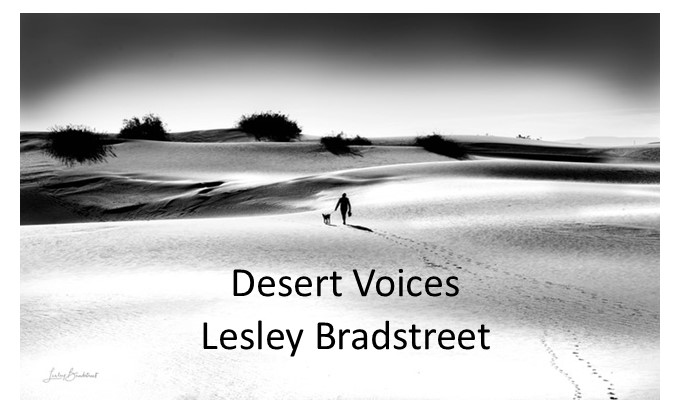 Lesley Bradstreet art Desert Voices