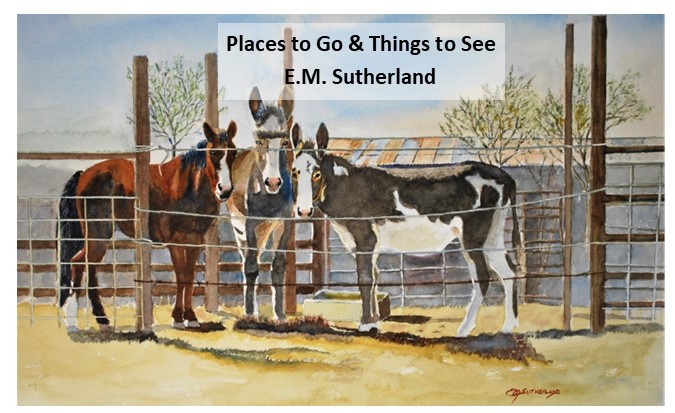 Places to Go & Things to See - E.M. Sutherland