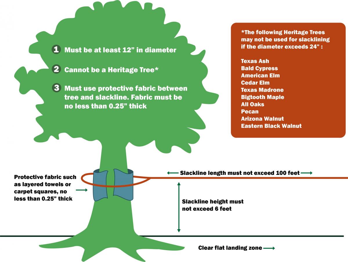 Guidelines illustration for Slacklining