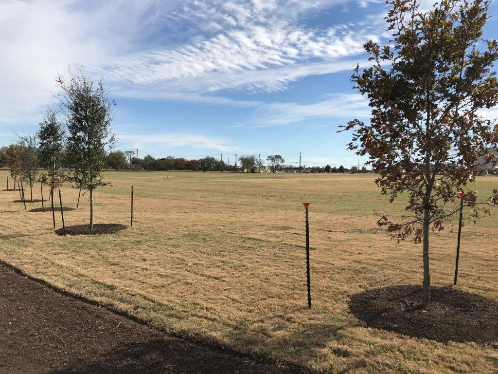 Onion Creek Metropolitan Park AustinTexas.gov The Official site