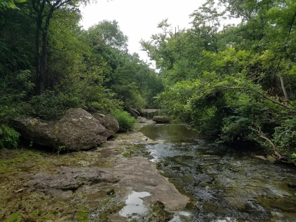Image of Slaughter Creek showing creek and trees around it