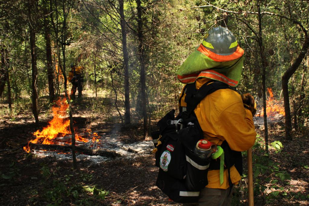 A fire manager monitors a pile burn.