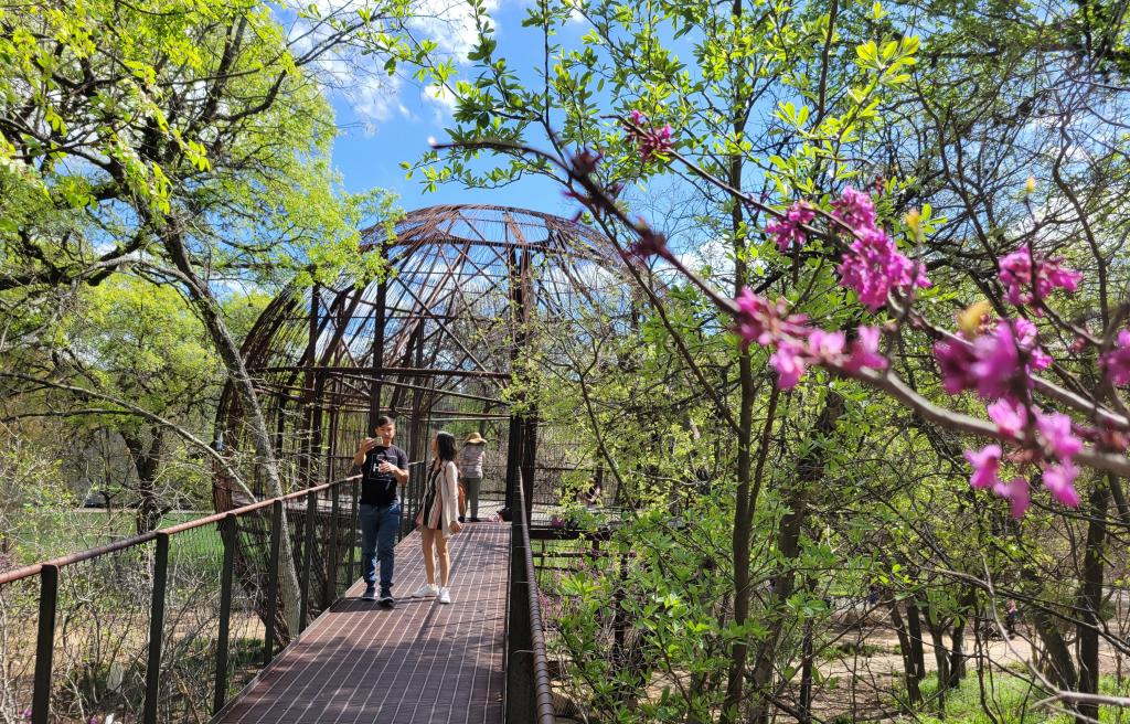 People visiting Pease Park's globe-shaped treehouse
