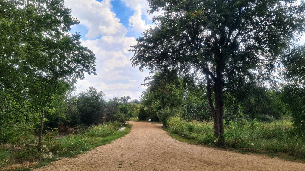 Gus Garcia Park trail with trees and decomposed granite trail