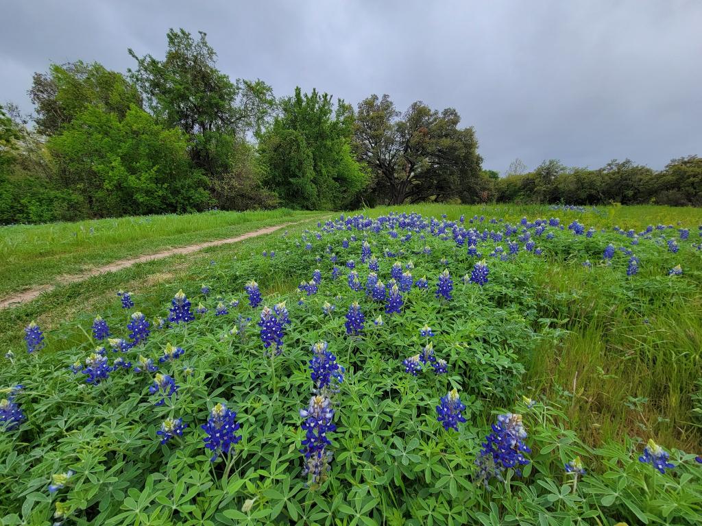 Mabel Davis District Park