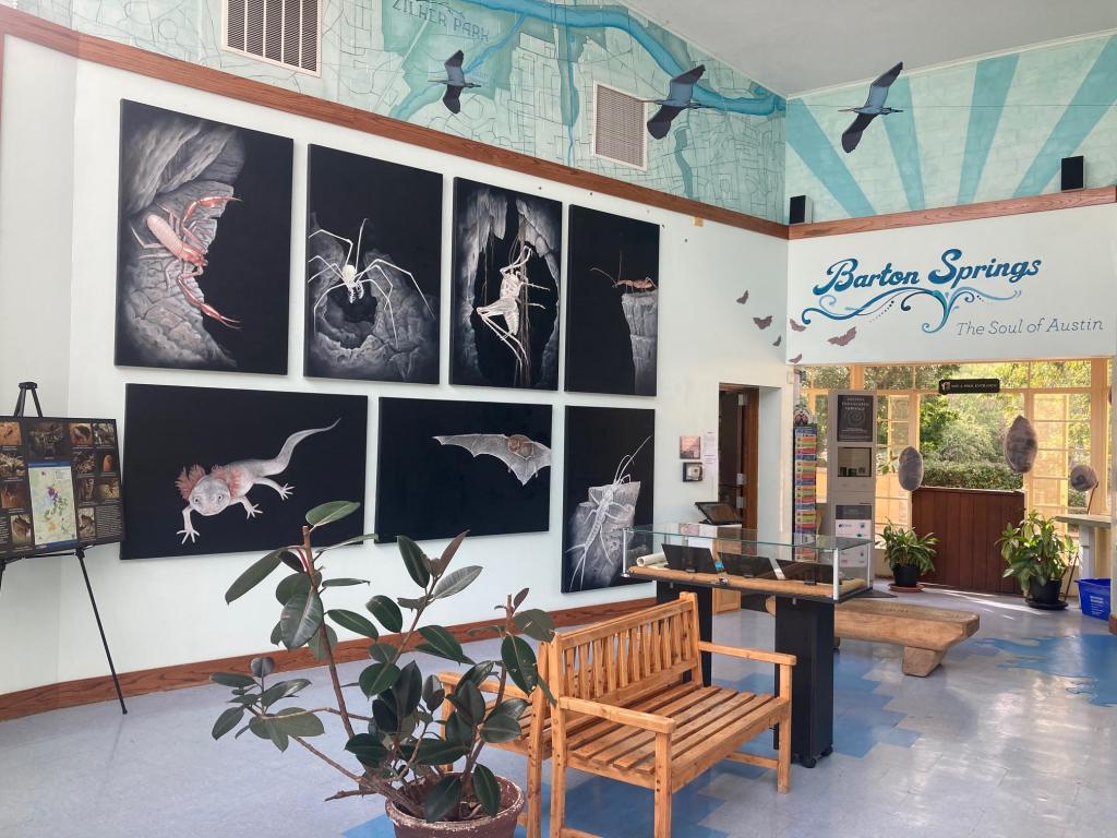 Cave animal paintings in building exhibit space