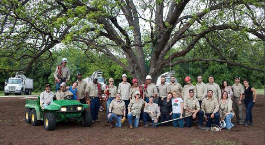 Urban Forestry Team