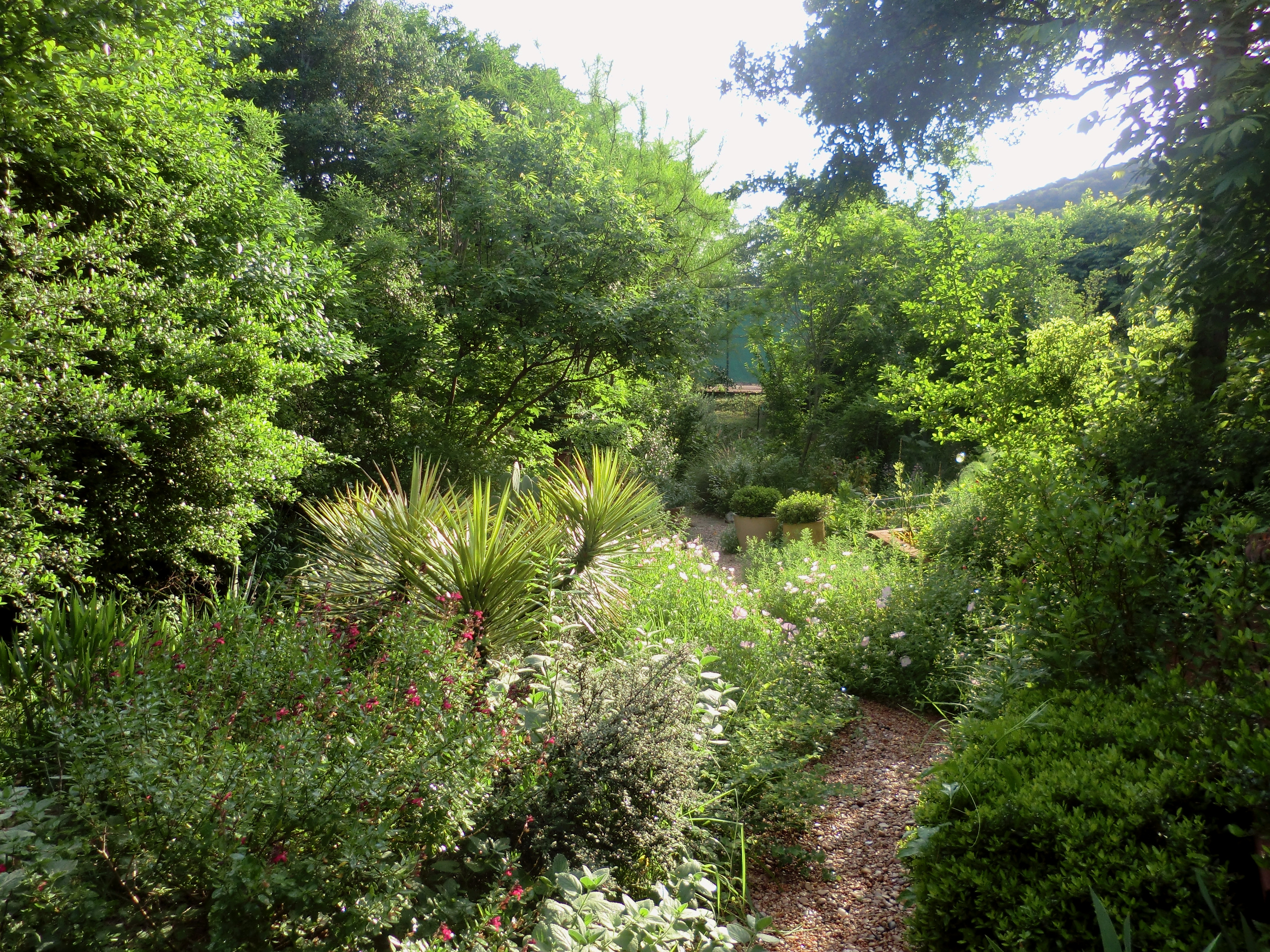 One of Austin's multiple parks