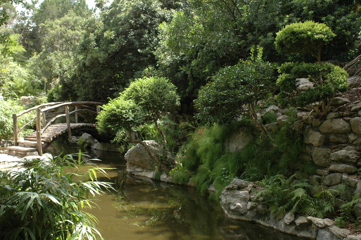 zilker botanical gardens – a jewel set within the heart of austin
