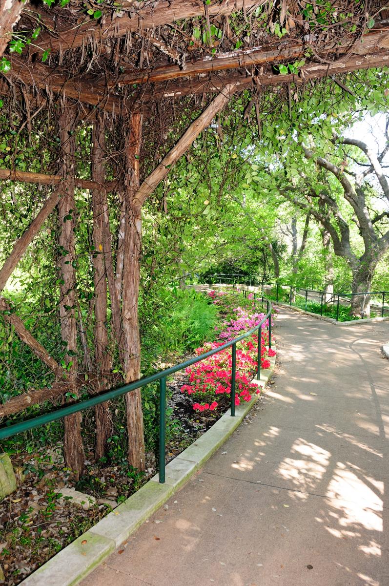 Zilker Botanical Gardens A Jewel Set Within the Heart of Austin