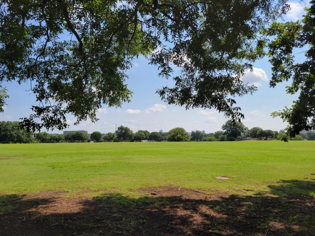 Image of Great Lawn of Zilker Metropolitan Park looking toward downtown