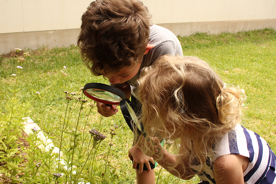 Children looking at flowers