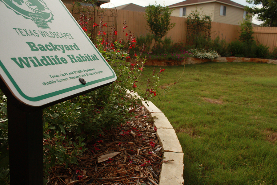 Certified backyard habitat