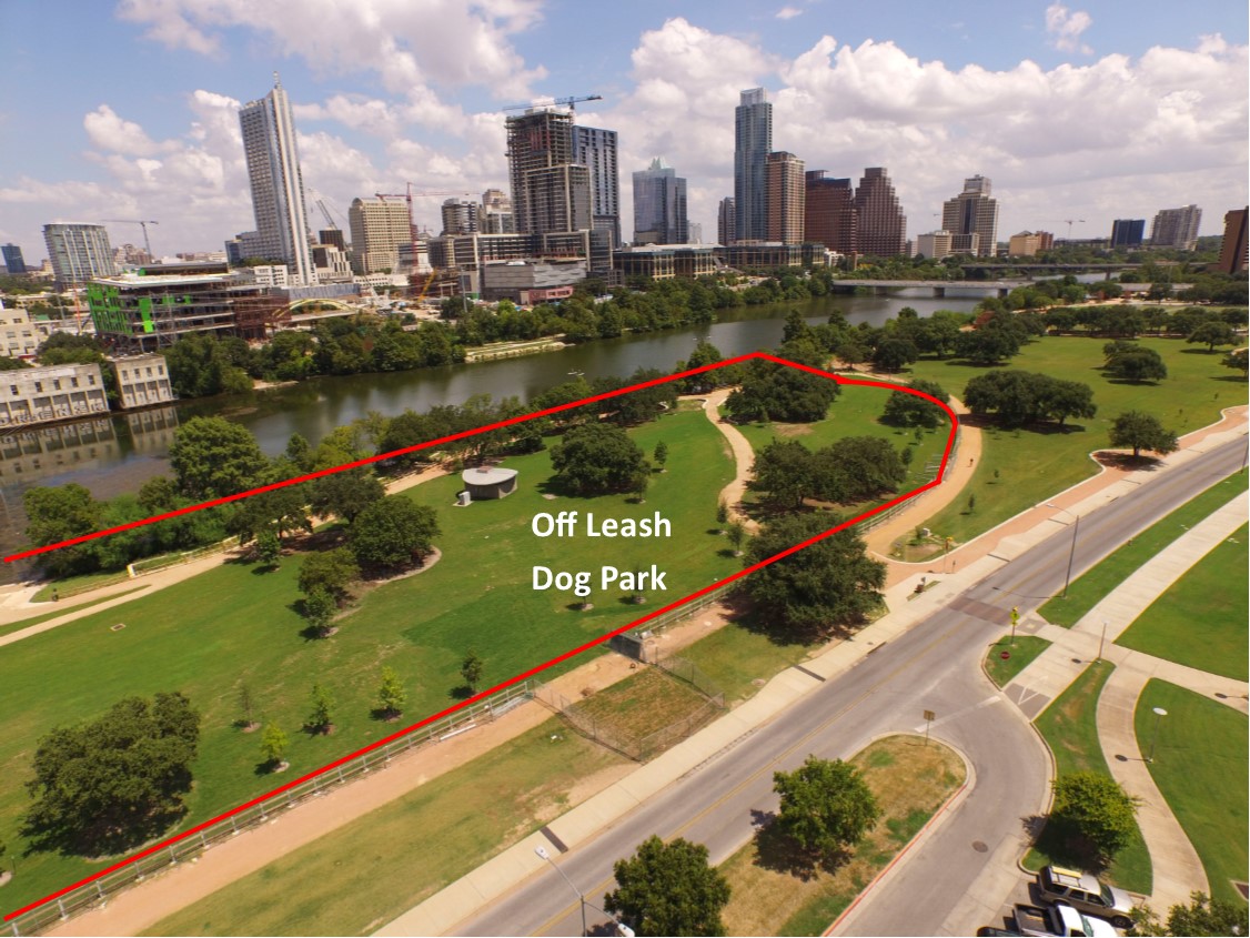 OffLeash Dog Enforcement at Auditorium & Vic Mathias Shores Begins January 25, 2016