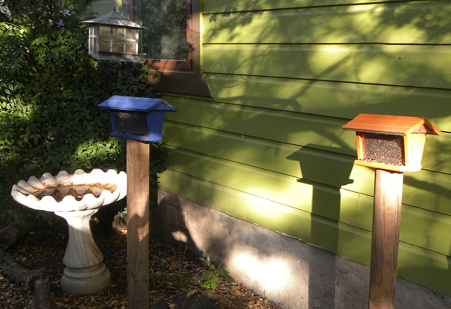 Bird feeders in a landscape