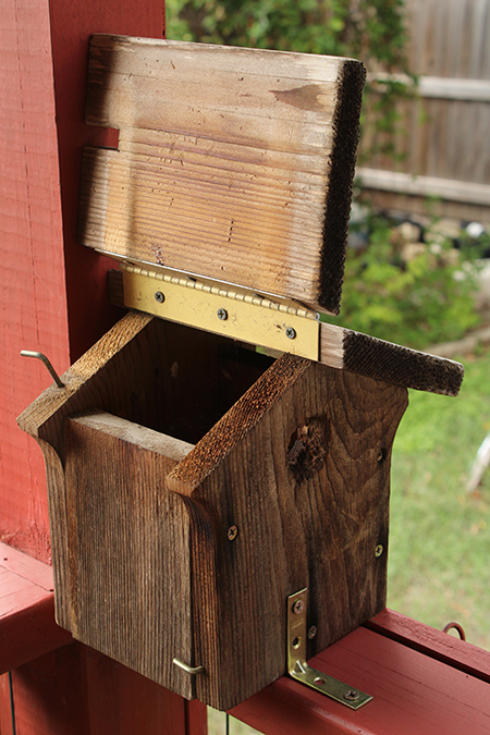 Bird house open for cleaning