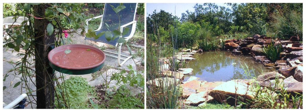 Birdbath and pond