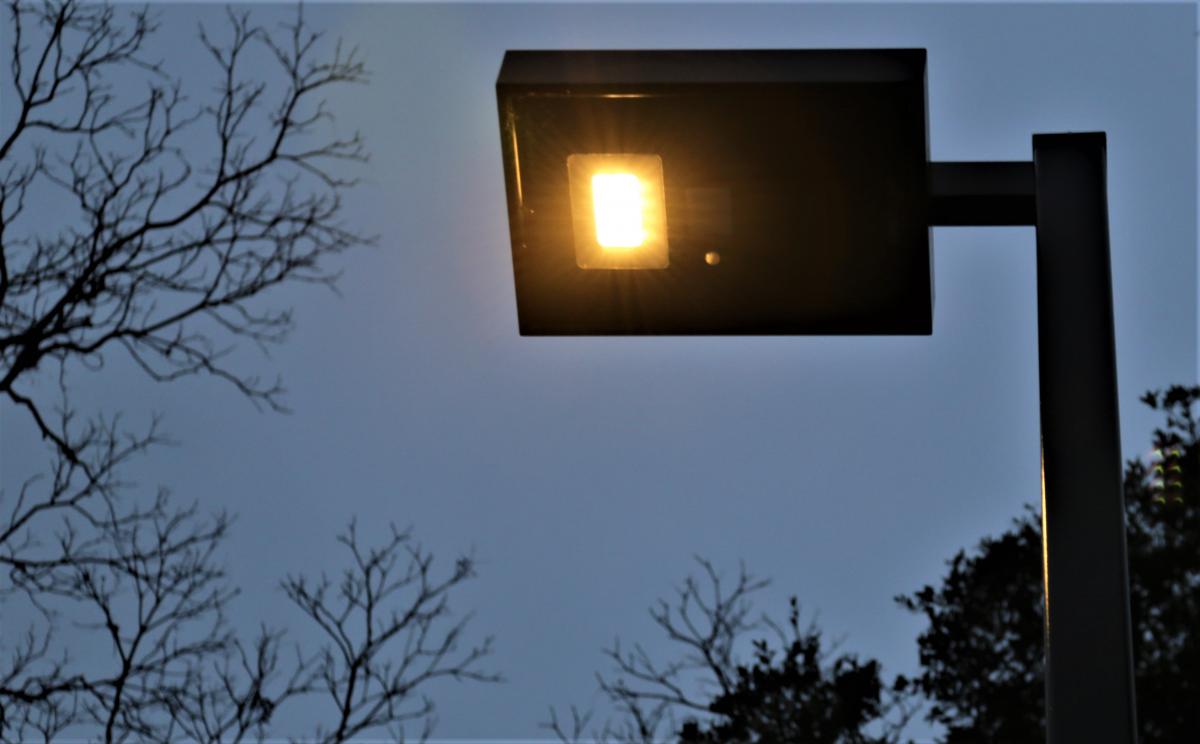 Safety Light at Tom Lasseter-South Lamar Neighborhood Park - FirstLight 20 foot solar light