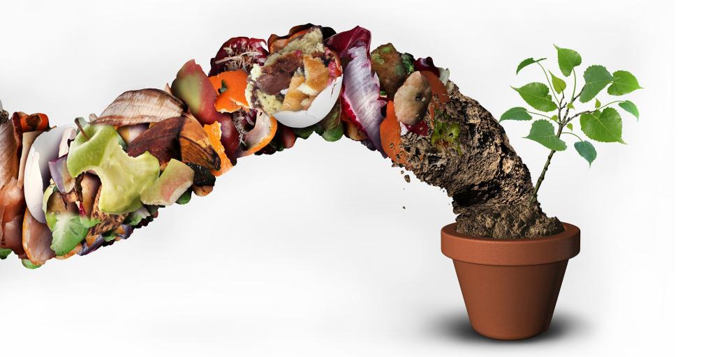 Food scraps transform into compost and are used in a plant