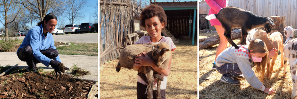 Three photos at Whole Life Learning Center. On the left, a teacher prepares a garden bed. In the center, a young girl holds a goat. On the left, a girl is kneeling on the ground with a goat on her back.