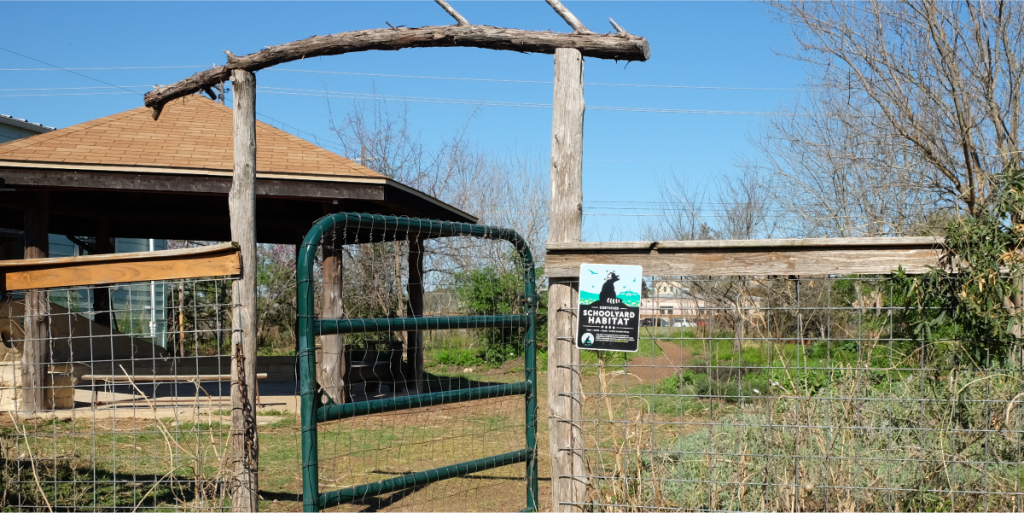 A photo of the Certified Schoolyard Habitat at WLLC.