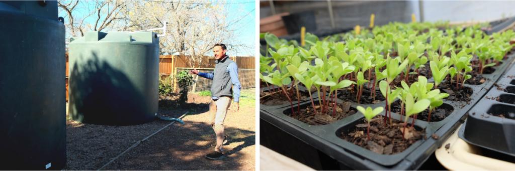 Two photos. On the left: Michael Carberry shows off the rainwater cisterns. On the right: a closeup of seedlings being grown at WLLC.