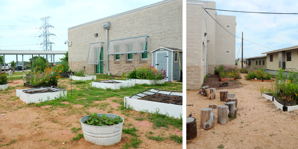 The gardens at Overton Elementary School.