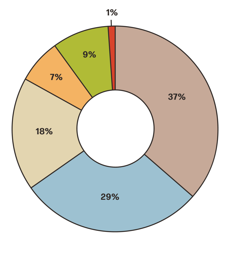 A donut graph showing emissions sources for Travis County.