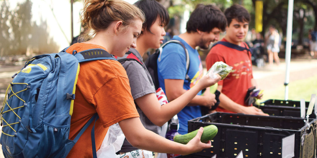 Photo of students at UT looking through a vegetable stand.