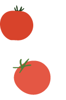 Tomato Icon