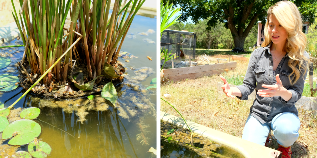 Left: Bees hover around a water feature in Erika's yard. Right: Erika sits near the water feature.