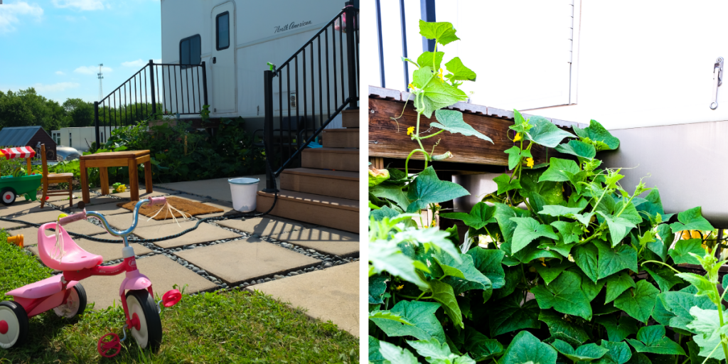 Left: A toddler tricycle in front of Leatha's home; Right: Close up of lush cucumber vines.