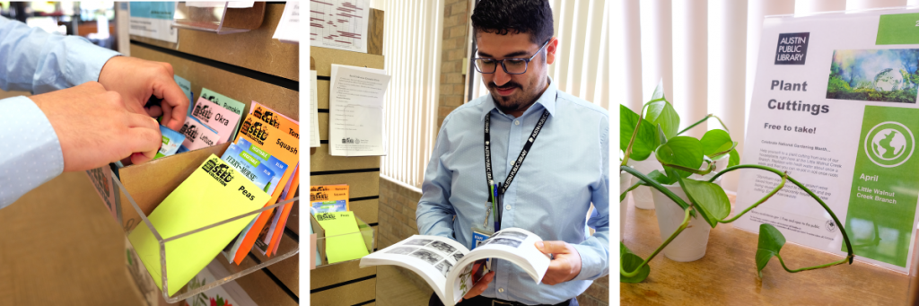 Three photos. On the left, Marcos looks through the seed library. In the center, Marcos reads a gardening book. To the right, free plant clippings at the library.