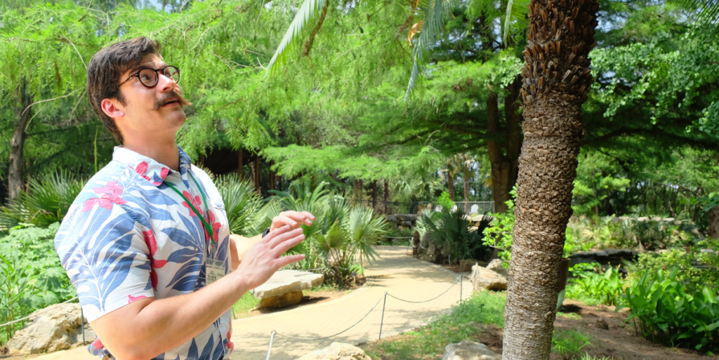 Matthew looks up at a palm tree while chatting.