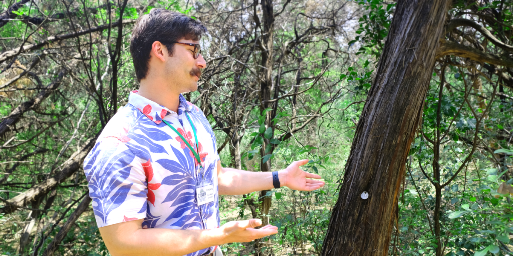 Matthew points to a tagged tree in Zilker Botanical Garden.