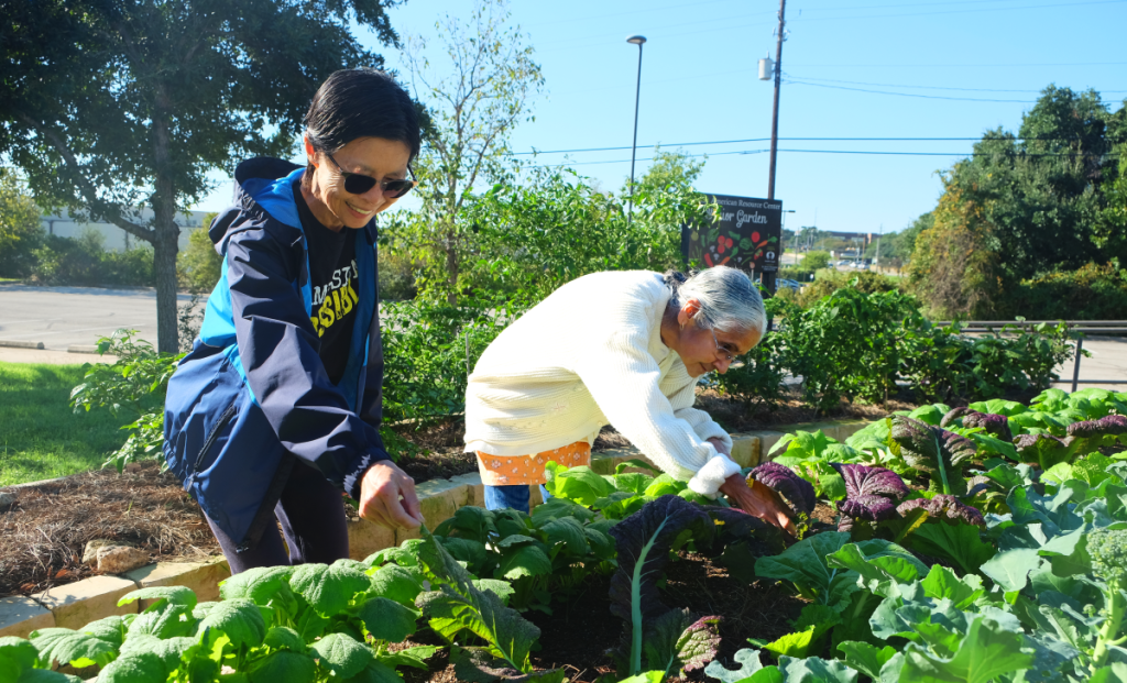 Niki and Himadri look at the vegetables in the AARC Elder Garden.