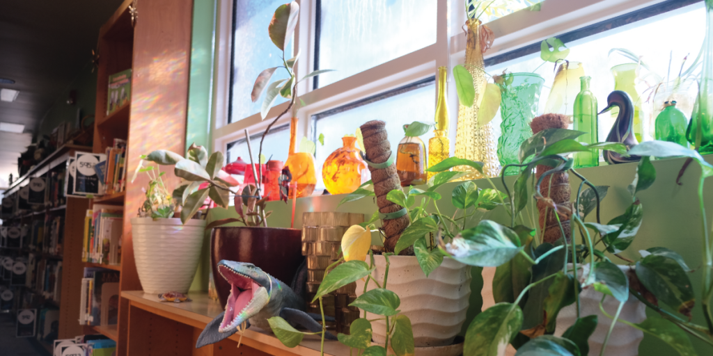A close up of a shelf in a library featuring many plants, animal figurines and statues, and assorted rainbow-colored glass vases.