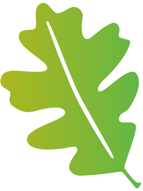 Icon of a leaf.