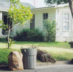 curbside trimmings